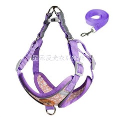 สุนัขสายรัดสะท้อนแสงเพื่อความปลอดภัย